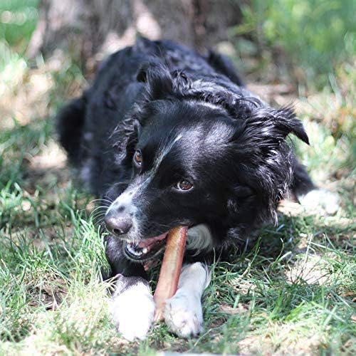 100% Natural Brazilian Bully Sticks - 1 lb Bag 10.00% Off Auto renew - Transpire
