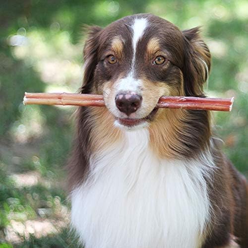 100% Natural Brazilian Bully Sticks - 1 lb Bag 10.00% Off Auto renew - Transpire