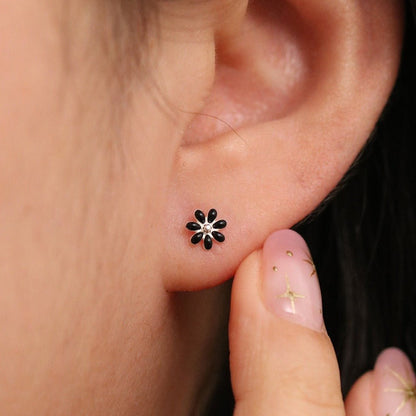 Colour daisy earirngs - Transpire