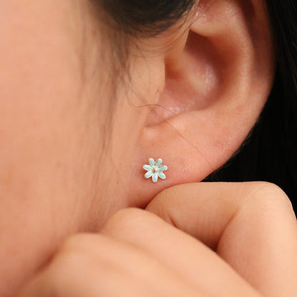 Colour daisy earirngs - Transpire