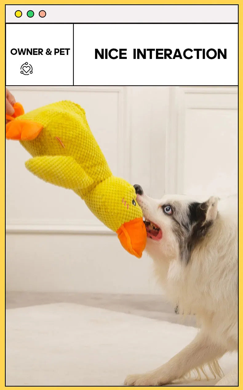 Cat and dog toys Plush molars sound puppy alone heart extractor artifacts Golden retriever Corgi dog pet supplies