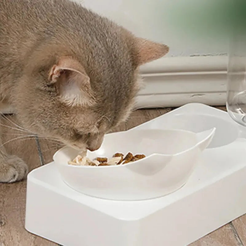 New Pet Bowl 15 Degrees Tilt to Protect Cervical Vertebrae Dog Food Bowl Automatic Drinking Feeder Pet Feeding Supplies