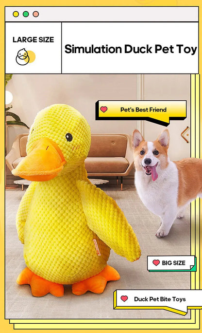 Cat and dog toys Plush molars sound puppy alone heart extractor artifacts Golden retriever Corgi dog pet supplies